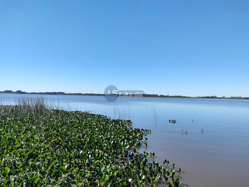 CASA COM ACESSO A LAGOA: 2ª foto da galeria de imagens do imóvel