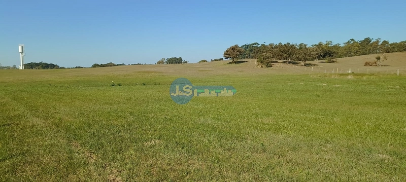 COMPRE O SEU TERRENO NA ESTRADA PALMITAL: 3ª foto da galeria de imagens do imóvel