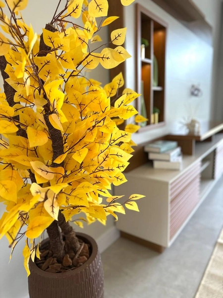 EXCELENTE CASA DE PRAIA EM LAJE COM PISCINA: 40ª foto da galeria de imagens do imóvel