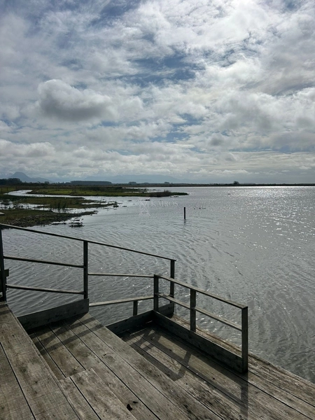 SITIO COM LAGOA: 27ª foto da galeria de imagens do imóvel
