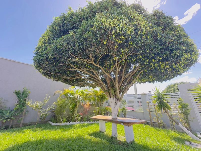 EXCELENTE CASA ALTO PADRÃO COM PISCINA : 8ª foto da galeria de imagens do imóvel