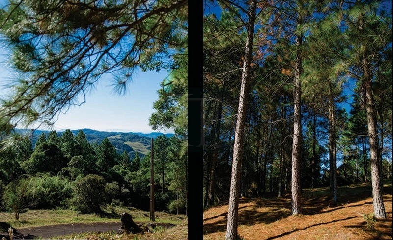 Terrenos no Condomínio Village da Montanha em Rancho Queimado: 5ª foto da galeria de imagens do imóvel