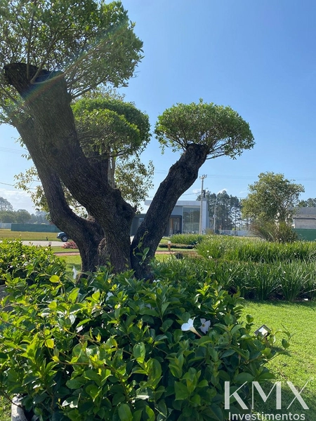 ✨ Sobrado Decorado no Condomínio Terrasul L1 ✨: 6ª foto da galeria de imagens do imóvel