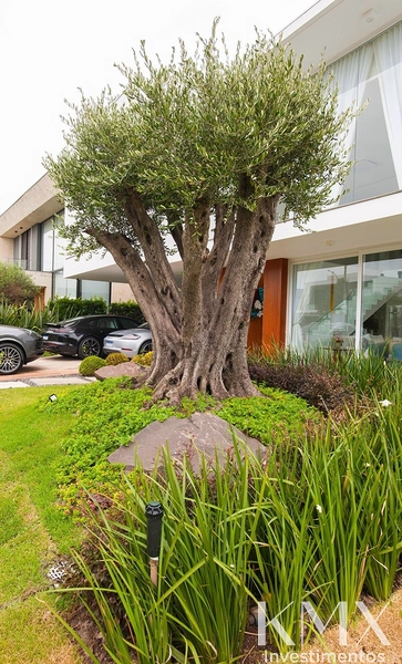 🏡 Casa de Alto Padrão à Beira-Lago: 4ª foto da galeria de imagens do imóvel
