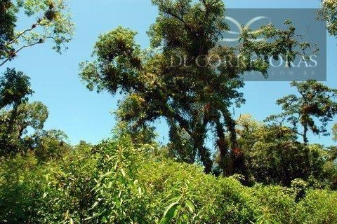 null: 18ª foto da galeria de imagens do imóvel