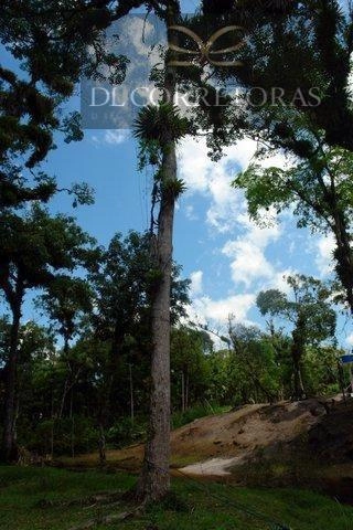 null: 8ª foto da galeria de imagens do imóvel