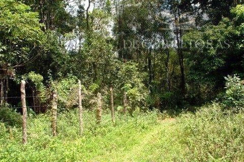 null: 9ª foto da galeria de imagens do imóvel