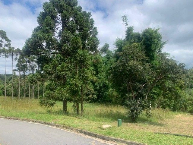 null: 10ª foto da galeria de imagens do imóvel