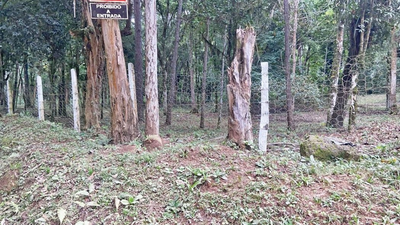 null: 54ª foto da galeria de imagens do imóvel