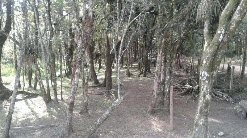 null: 17ª foto da galeria de imagens do imóvel