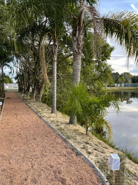 Terreno Condomínio Terrasul: 14ª foto da galeria de imagens do imóvel