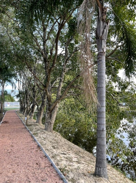 Terreno Condomínio Terrasul: 10ª foto da galeria de imagens do imóvel