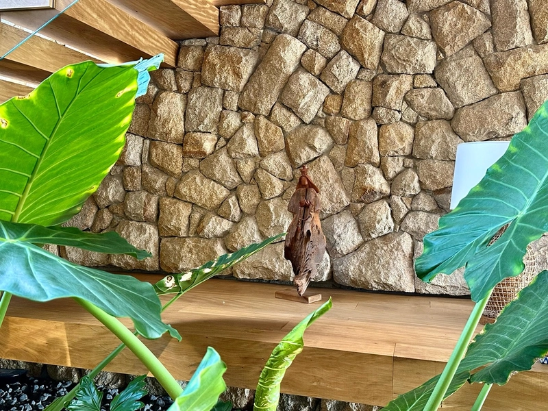 Casa em Condomínio à venda com 722m², Bosques de Atlântida Xangrila: 9ª foto da galeria de imagens do imóvel