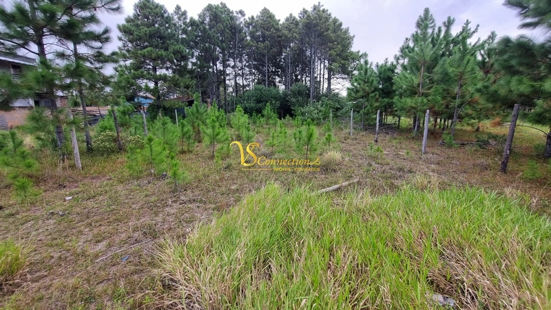 TERRENO ESCRITURADO COM CONDIÇÕES FACILITADAS: 1ª foto da galeria de imagens do imóvel