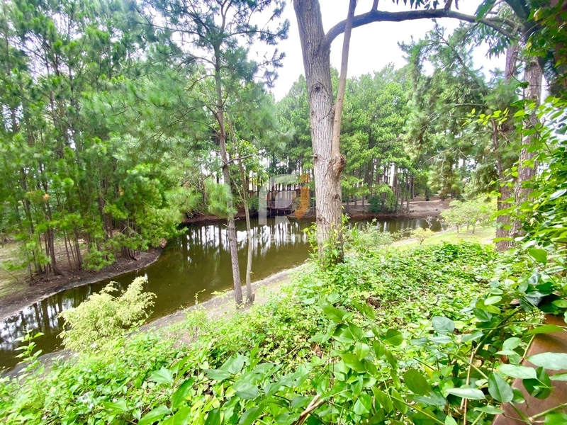 Imóvel: 20ª foto da galeria de imagens do imóvel