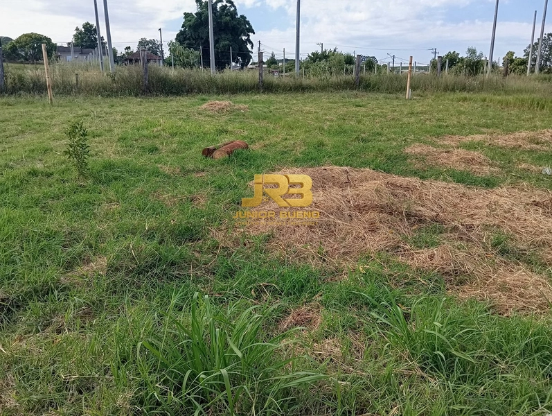 null: 9ª foto da galeria de imagens do imóvel