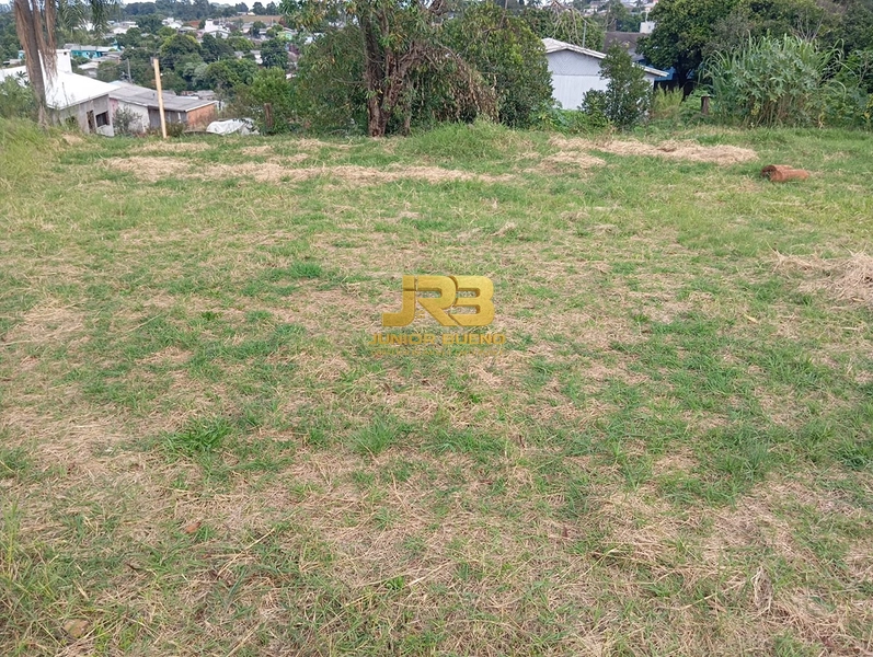 null: 5ª foto da galeria de imagens do imóvel