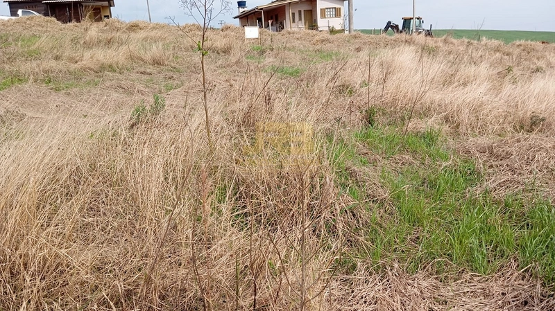 TERRENO À VENDA - CENTRO : 5ª foto da galeria de imagens do imóvel