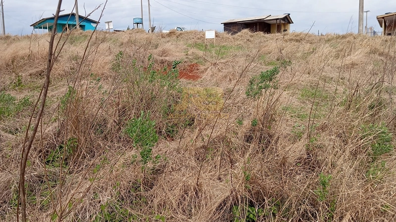TERRENO À VENDA - CENTRO : 2ª foto da galeria de imagens do imóvel