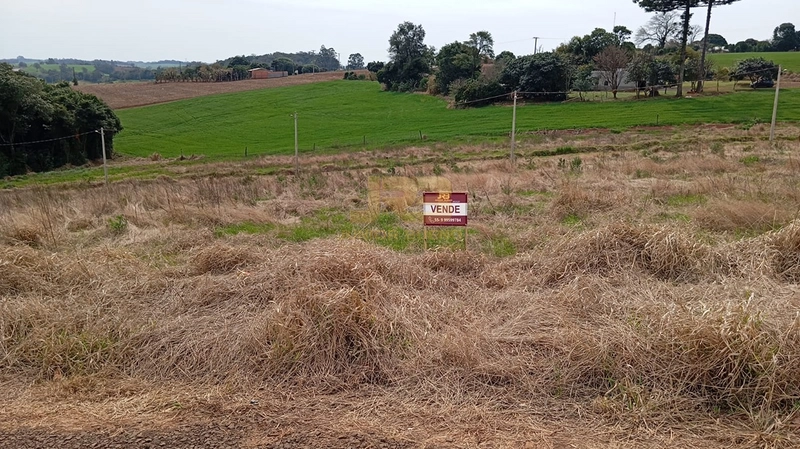 TERRENO À VENDA - CENTRO : 1ª foto da galeria de imagens do imóvel