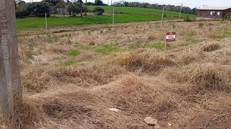 TERRENO À VENDA - CENTRO : 7ª foto da galeria de imagens do imóvel