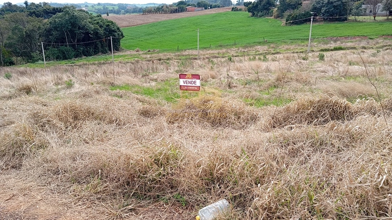 TERRENO À VENDA - CENTRO : 6ª foto da galeria de imagens do imóvel