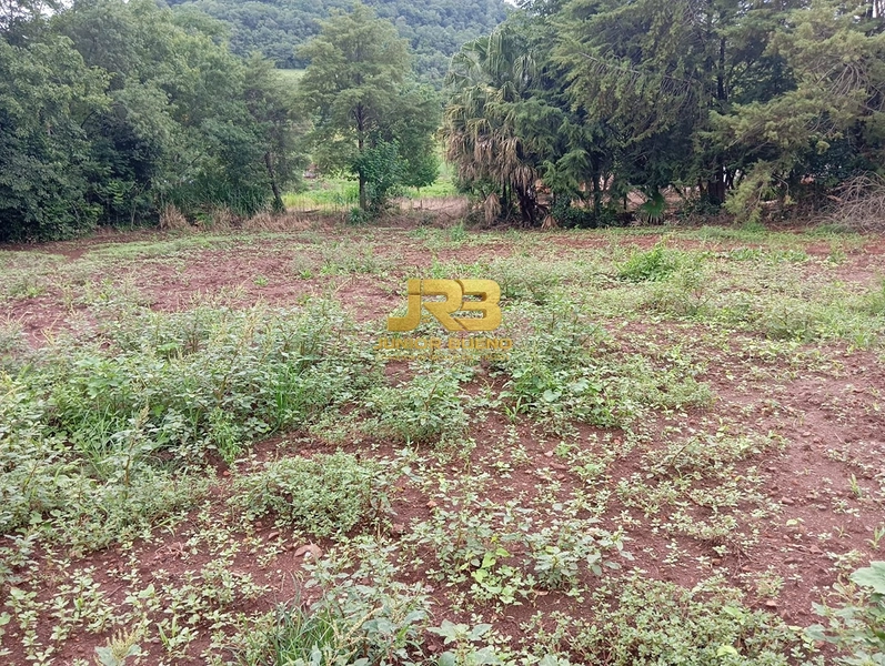 CASA E PONTO COMERCIAL A VENDA: 10ª foto da galeria de imagens do imóvel