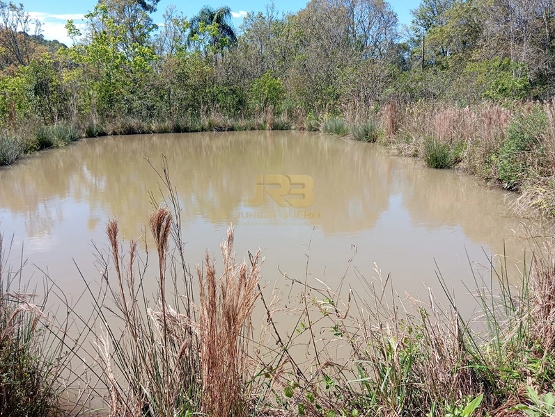 🌿 ÁREA DE TERRA À VENDA – LAGEADO BONITO: 7ª foto da galeria de imagens do imóvel