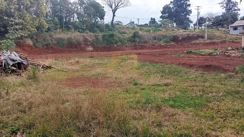 TERRENO COM 3000m²: 11ª foto da galeria de imagens do imóvel