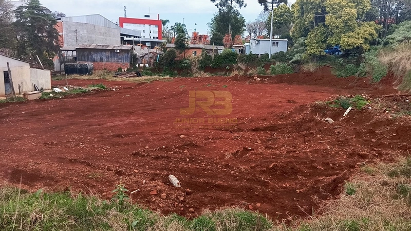 TERRENO COM 3000m²: 6ª foto da galeria de imagens do imóvel