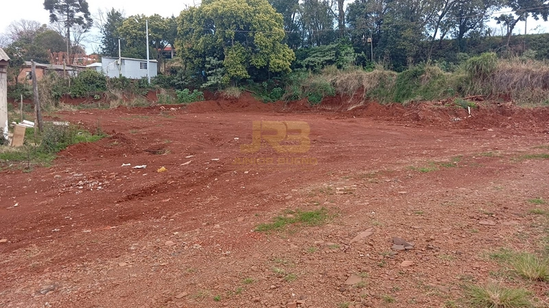 TERRENO COM 3000m²: 4ª foto da galeria de imagens do imóvel