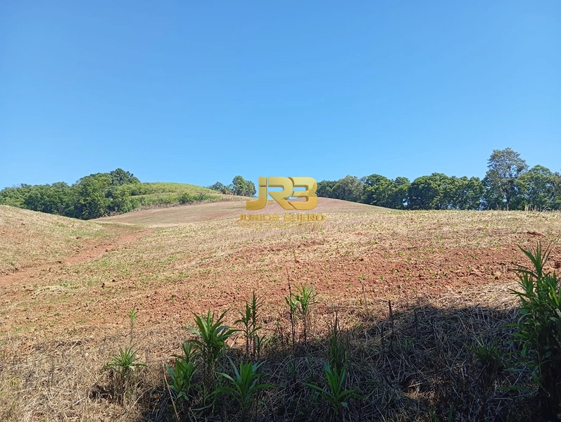 ÀREA DE TERRA COM 15ha: 16ª foto da galeria de imagens do imóvel