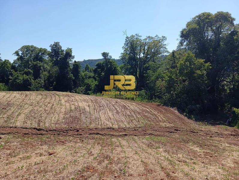 ÀREA DE TERRA COM 15ha: 19ª foto da galeria de imagens do imóvel