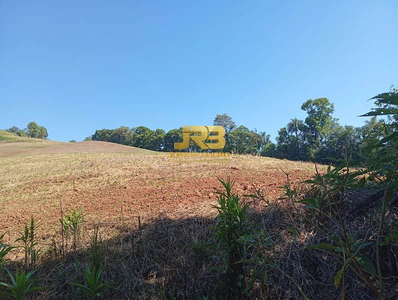 ÀREA DE TERRA COM 15ha: 15ª foto da galeria de imagens do imóvel