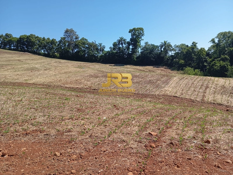 ÀREA DE TERRA COM 15ha: 18ª foto da galeria de imagens do imóvel