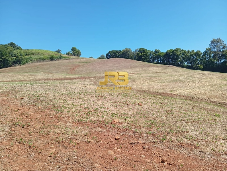 ÀREA DE TERRA COM 15ha: 17ª foto da galeria de imagens do imóvel