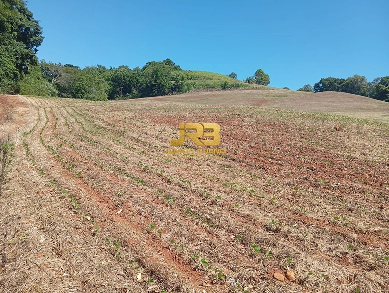 ÀREA DE TERRA COM 15ha: 4ª foto da galeria de imagens do imóvel