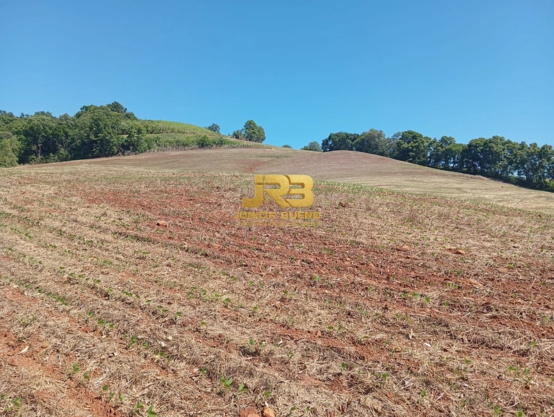 ÀREA DE TERRA COM 15ha: 1ª foto da galeria de imagens do imóvel