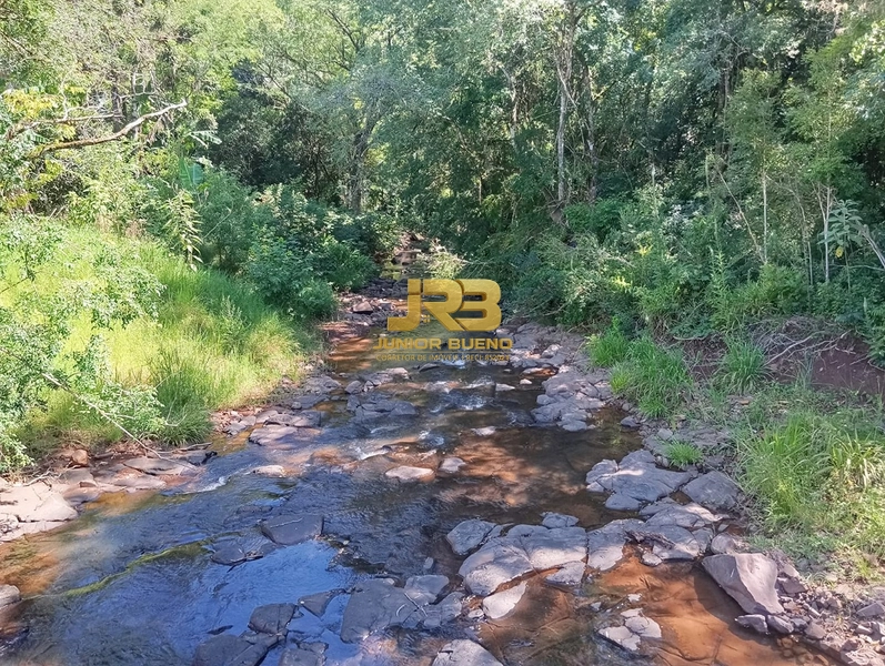 ÀREA DE TERRA COM 15ha: 10ª foto da galeria de imagens do imóvel