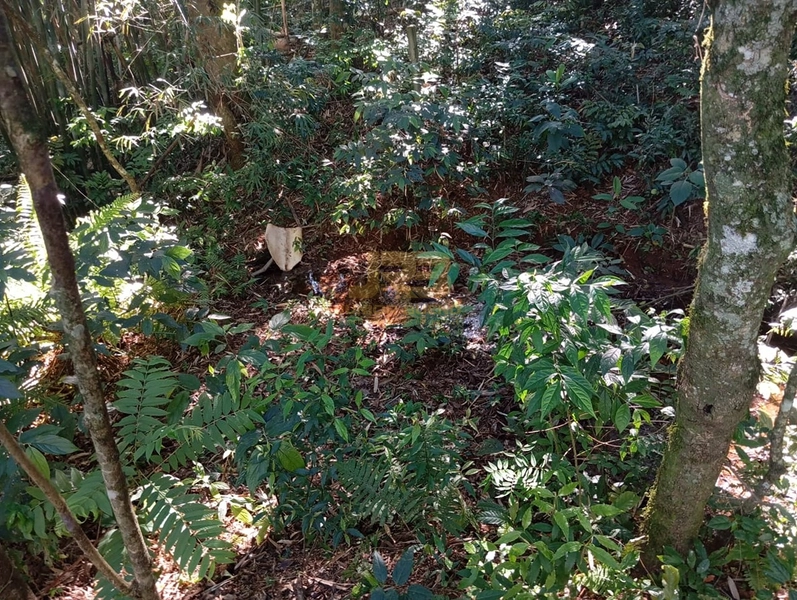 LINDA CHÁCARA  "DENTRO" DA CIDADE: 10ª foto da galeria de imagens do imóvel