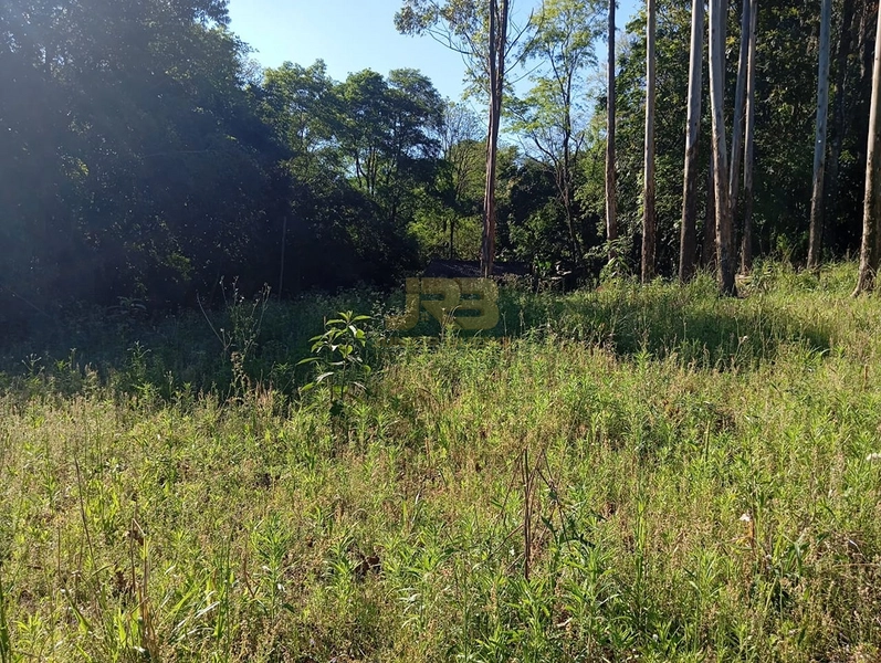 LINDA CHÁCARA  "DENTRO" DA CIDADE: 4ª foto da galeria de imagens do imóvel