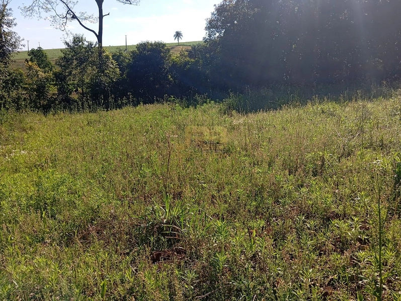 LINDA CHÁCARA  "DENTRO" DA CIDADE: 8ª foto da galeria de imagens do imóvel