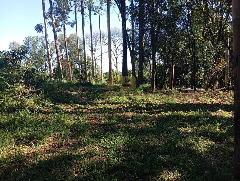 LINDA CHÁCARA  "DENTRO" DA CIDADE: 14ª foto da galeria de imagens do imóvel