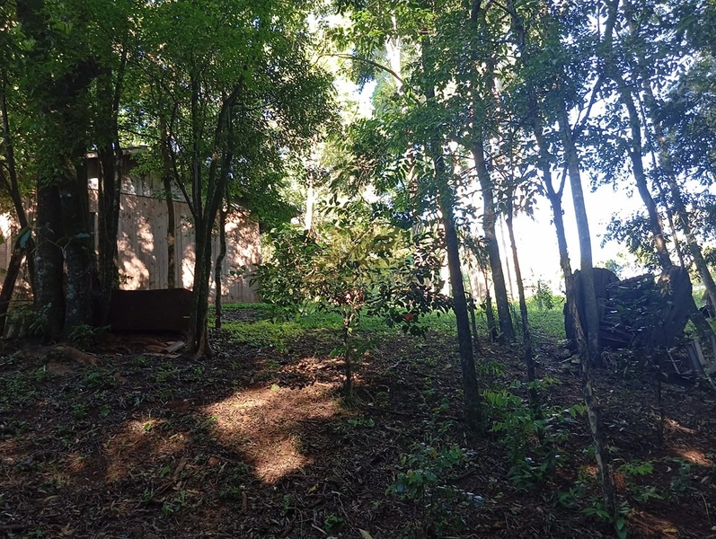 LINDA CHÁCARA  "DENTRO" DA CIDADE: 7ª foto da galeria de imagens do imóvel