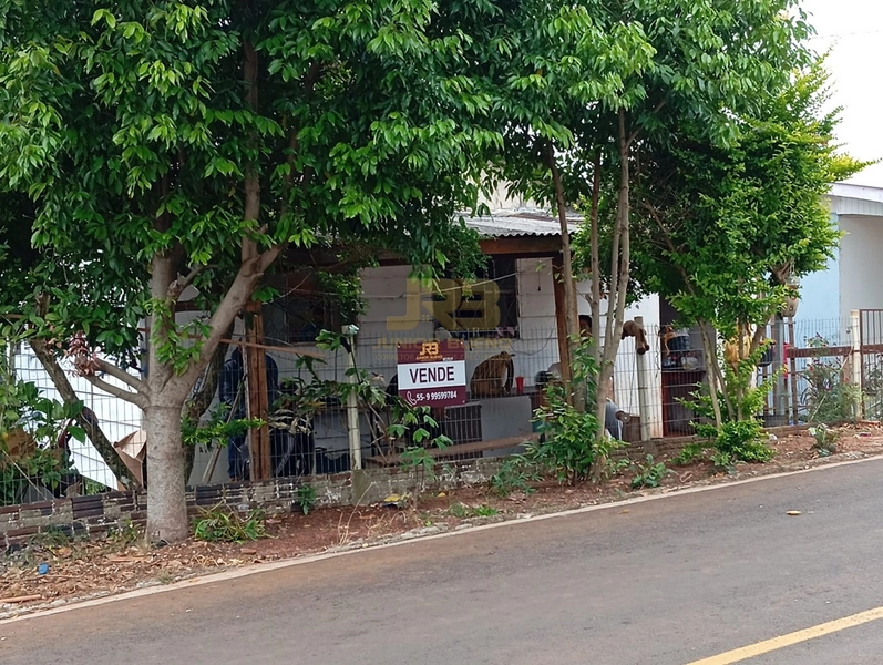 TERRENO COM CASA DE MADEIRA: 1ª foto da galeria de imagens do imóvel