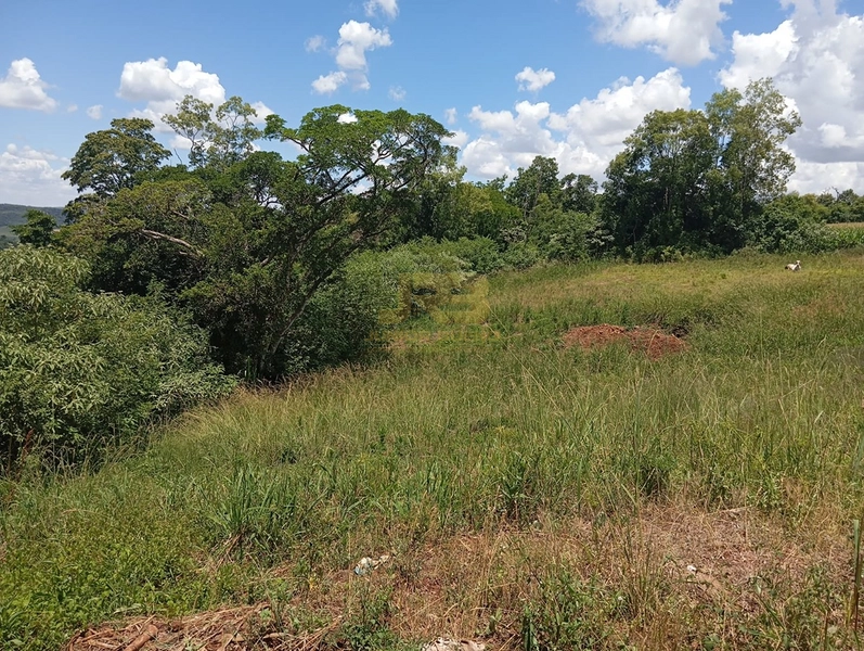 CHÁCARA DE 5000M² COM CASA MISTA: 6ª foto da galeria de imagens do imóvel