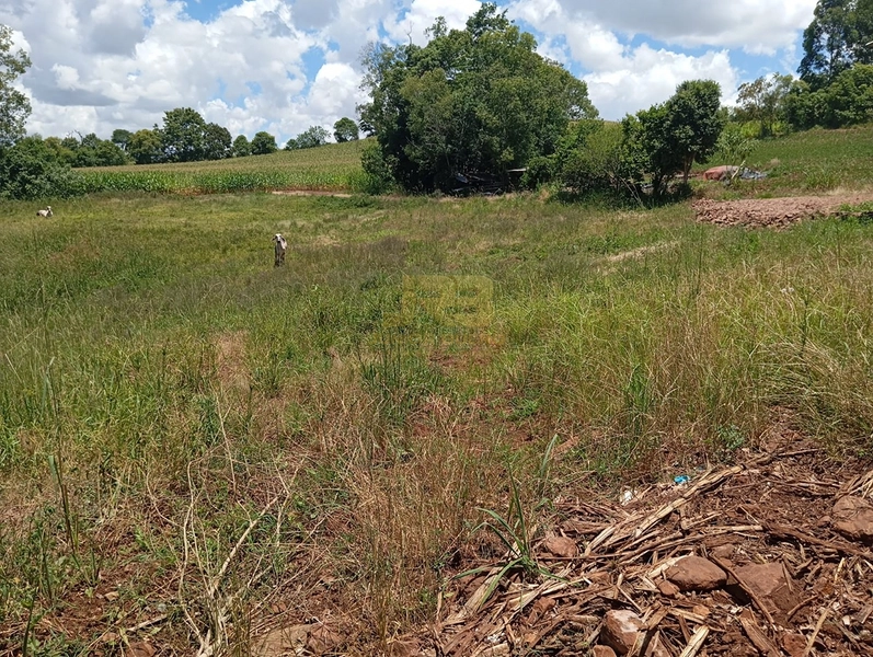 CHÁCARA DE 5000M² COM CASA MISTA: 3ª foto da galeria de imagens do imóvel