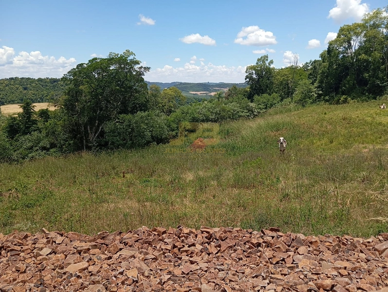 CHÁCARA DE 5000M² COM CASA MISTA: 13ª foto da galeria de imagens do imóvel