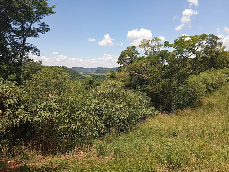 CHÁCARA DE 5000M² COM CASA MISTA: 2ª foto da galeria de imagens do imóvel