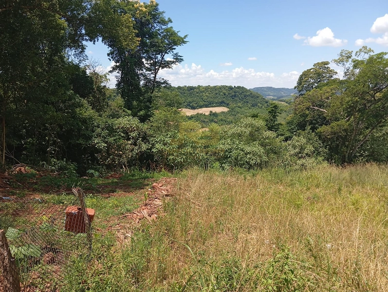 CHÁCARA DE 5000M² COM CASA MISTA: 5ª foto da galeria de imagens do imóvel